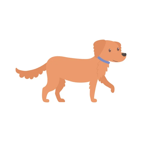 かわいい動物犬 — ストックベクタ