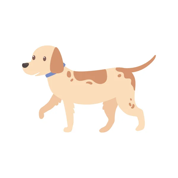 Schattig hond wandelen — Stockvector