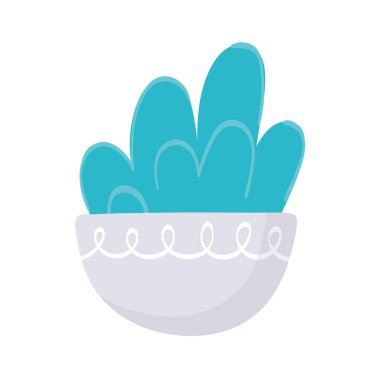 saksı bitkisi dekorasyonu