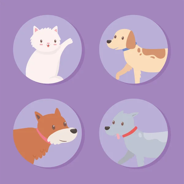 Set iconos animales de compañía — Vector de stock
