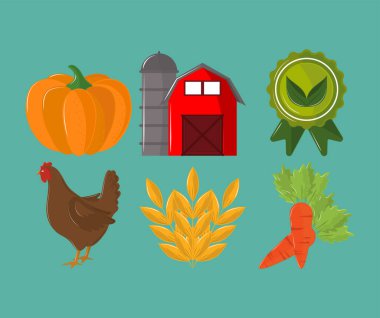 organik taze ürünler