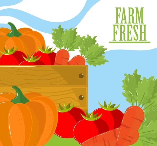 sebze çiftliği taze