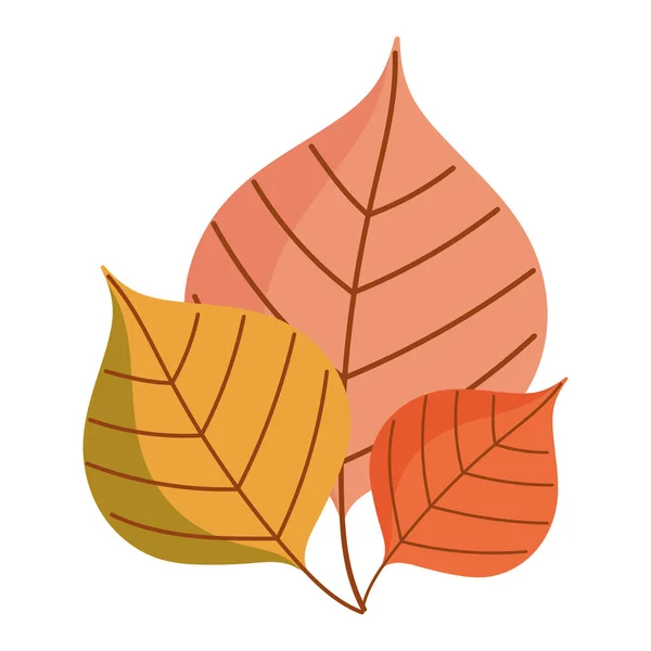 Feuilles de feuillage d'automne — Image vectorielle