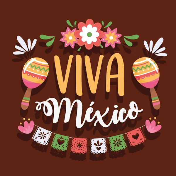 Viva mexico lettering — Stock Vector