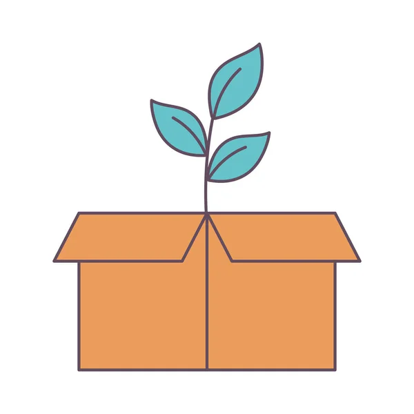 Rośliny w pudełku tekturowym — Wektor stockowy