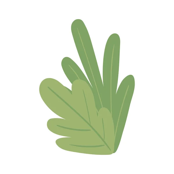 Natura foglie botaniche — Vettoriale Stock