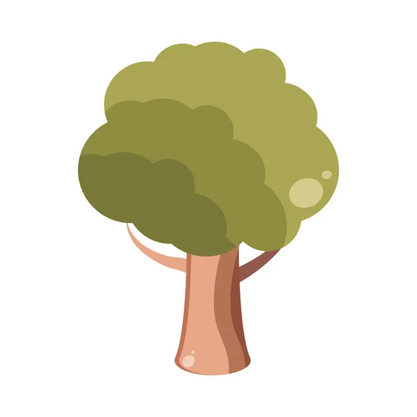 Ağaç bitki örtüsü — Stok Vektör