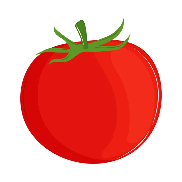 Taze sebze domatesi — Stok Vektör