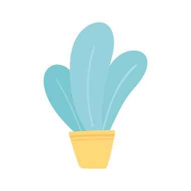 ev bitkisi iç dekorasyonu