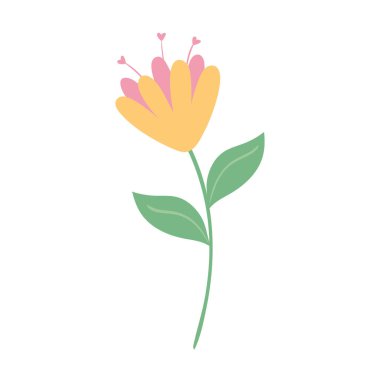 çiçek doğası narin