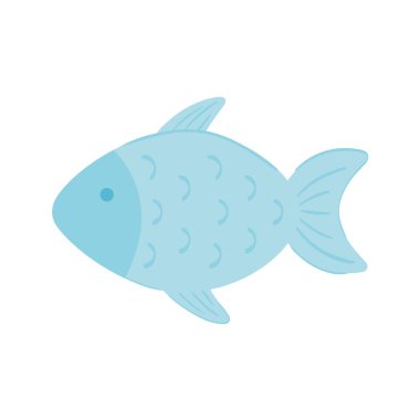 balık deniz hayvanı