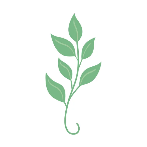 Φυλλώματα πράσινων κλαδιών — Διανυσματικό Αρχείο