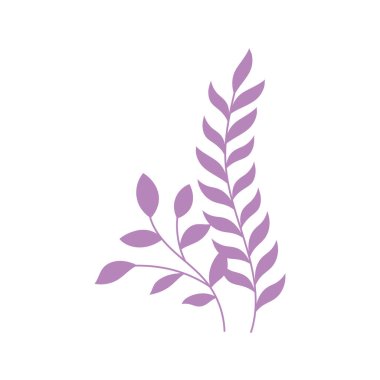 dal yaprağı doğası