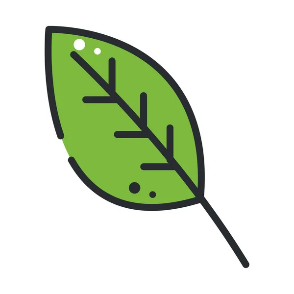 Природа листя екології — стоковий вектор