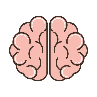 İnsan beyni parçası