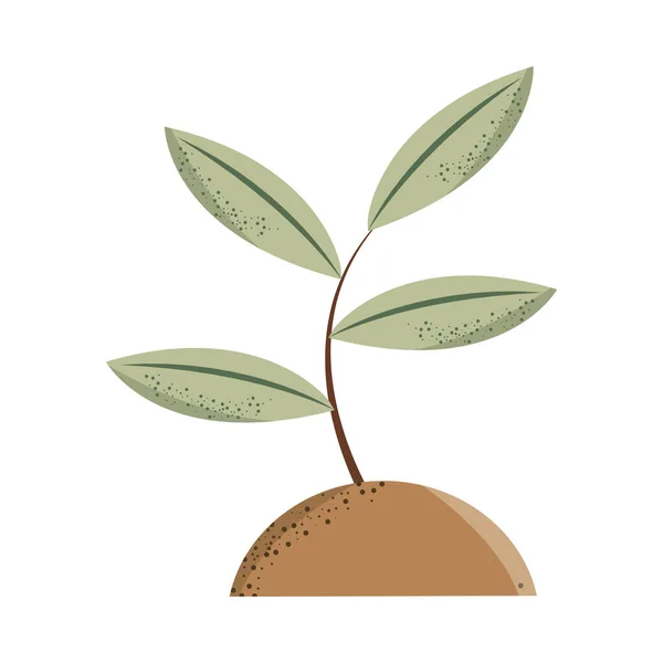 Растение с листьями — стоковый вектор
