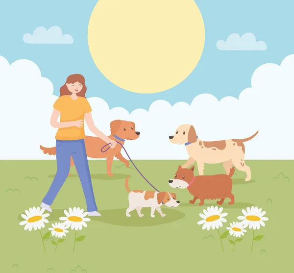 Девушка с собаками гуляет — стоковый вектор