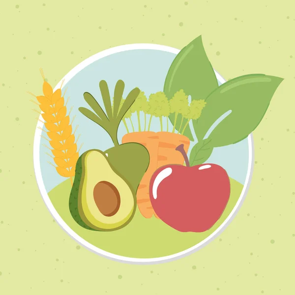 Ökológiai gyümölcsök és zöldségek — Stock Vector