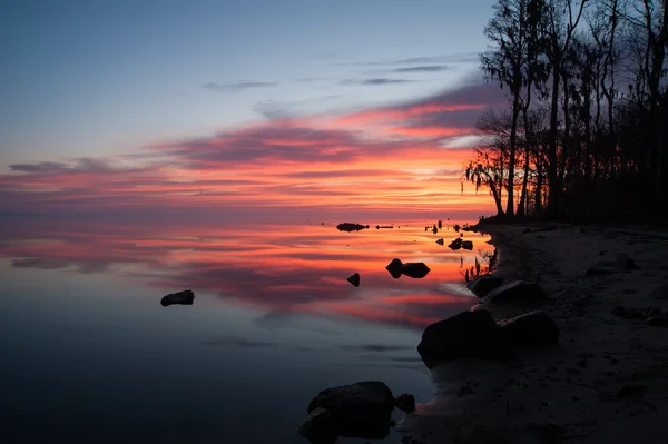 Early morning at the river — Stock Photo, Image