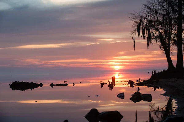 Sunrise on the river — Stock Photo, Image