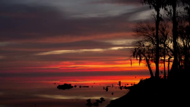 Timelapse de sol saliendo sobre un río — Vídeos de Stock