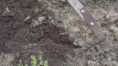 Kışları yatağı hazırlamak için boş bir yatağı Fokin düz kesiciyle sürmek.