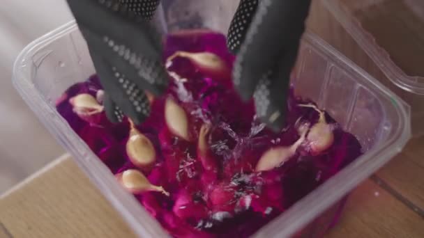 Підготовка зимової цибулі до посадки в розчині перманганату калію — стокове відео