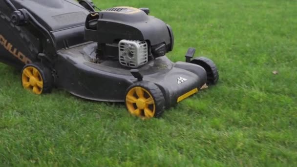 Kiev, Ukraine - November 14, 2020: the process of mowing a lawn with a mcculloch lawn mower — Stock Video
