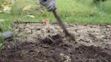 Kış hazırlıkları için kuru çim yataklarında toprak sürerler.