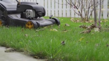 Kiev, Ukrayna - 14 Kasım 2020: McCulloch çim biçme makinesiyle çim biçme işlemi