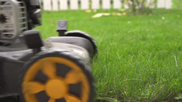 Kiev, Ukraina - 14 november 2020: processen att klippa en gräsmatta med en mcculloch gräsklippare — Stockvideo