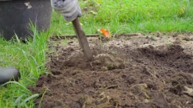 Kış hazırlıkları için kuru çim yataklarında toprak sürerler.