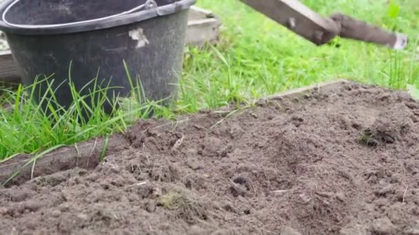 Lövmark i torra gräsmattor för vinterberedning — Stockvideo