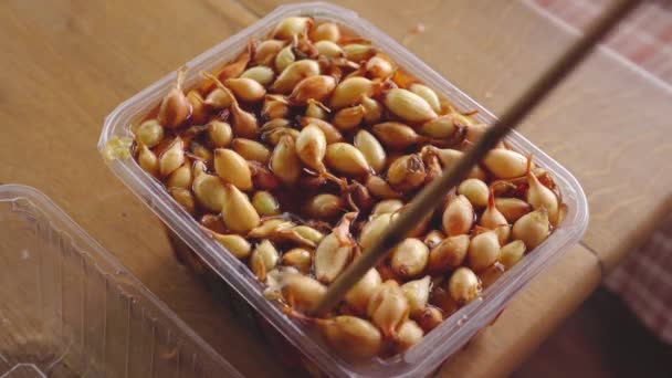 Процесс вымачивания луковых луковиц в растворе перманганата калия — стоковое видео