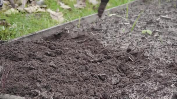 Grond ploegen in droge grasvelden voor wintervoorbereiding — Stockvideo