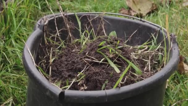 Dropping weeds from the garden into a bucket to convert to fertilizer — Stock Video