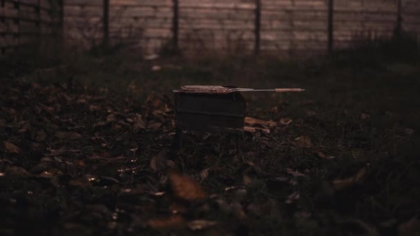 Brazier avec de la viande dans un filet de barbecue est frit sur les charbons dans l'obscurité — Video