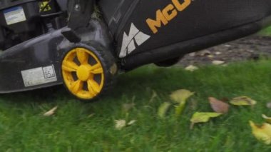 Kiev, Ukrayna - 14 Kasım 2020: McCulloch çim biçme makinesiyle çim biçme işlemi