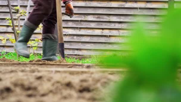 Terreno en lechos de hierba seca para la preparación de invierno — Vídeo de stock