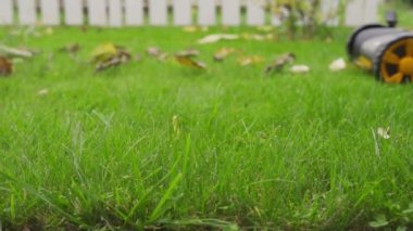 Kiev, Ukrayna - 14 Kasım 2020: McCulloch çim biçme makinesiyle çim biçme işlemi