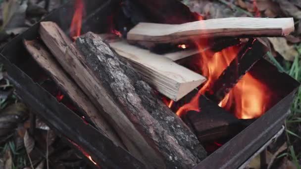Φωτιά από ξύλο βελανιδιάς καίει στη σχάρα στο δρόμο — Αρχείο Βίντεο
