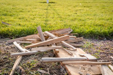 Ateş yakmak için meşe kırıntılarından dilimler.