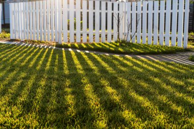 Güneşin yeşil çimenlikteki güzel gölgesi