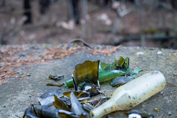 Broken glass bottles lie on a concrete block in the forest