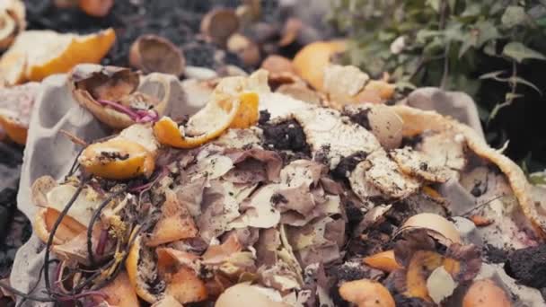 野菜の庭の土を肥やすための食品廃棄物の山を堆肥 — ストック動画
