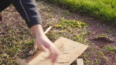 Sokakta satırla ateş yakmak için meşe ağaçlarının sökülme süreci.