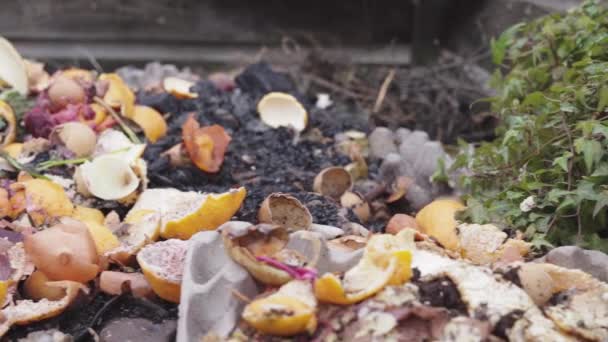 Tas de compost de déchets alimentaires pour fertiliser le sol du potager — Video