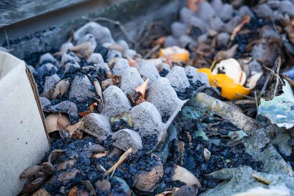 Toprağı gübrelemek için besin ve organik atık kullanıyorlar.