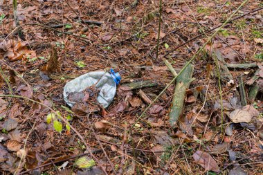 Ormanın ortasında atılmış plastik bir şişe.