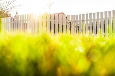 Sonbahar güneşi beyaz ahşap bir çitin içinden yeşil bir çimenlikte parlıyor.